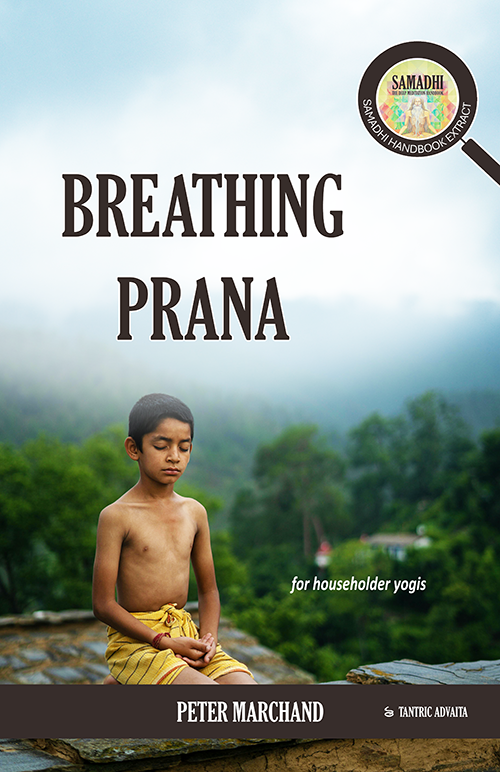 Tantric Advaita
