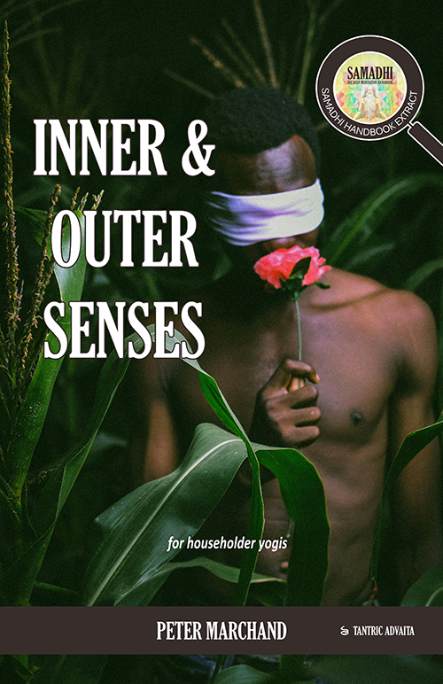 Tantric Advaita