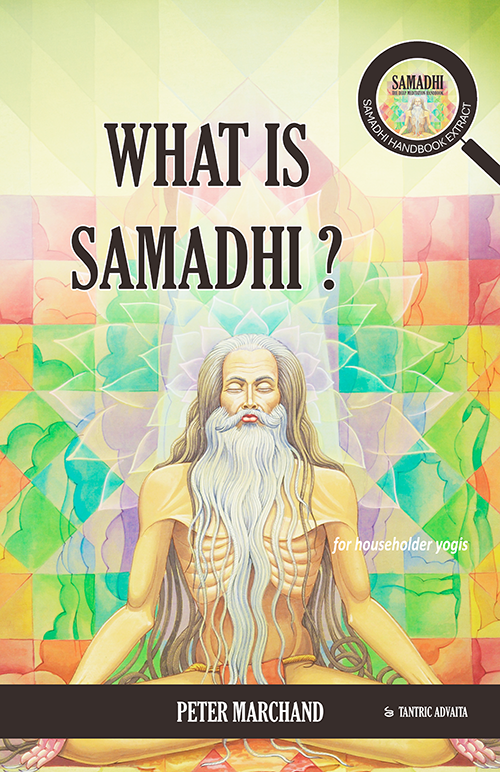 Tantric Advaita